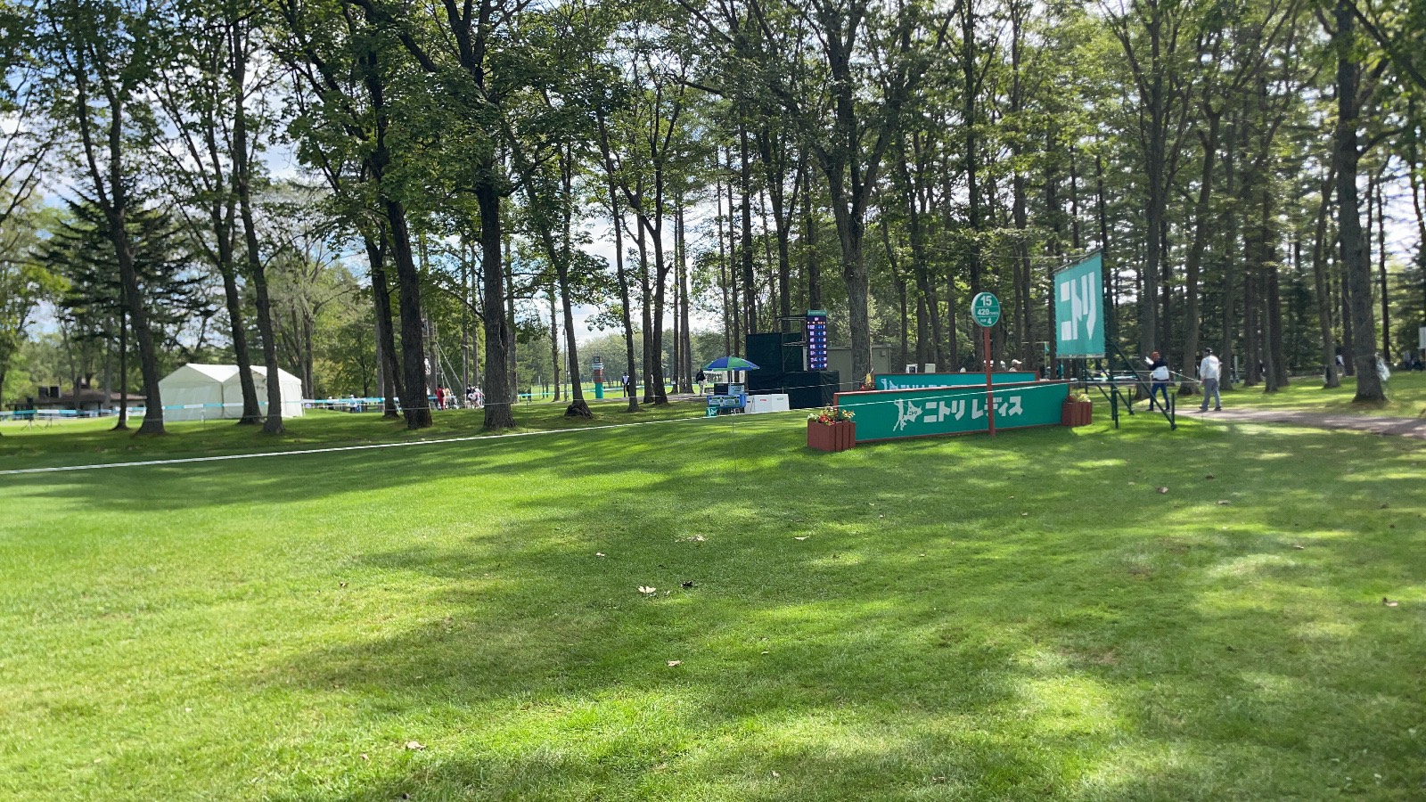 https://saito-1234.com