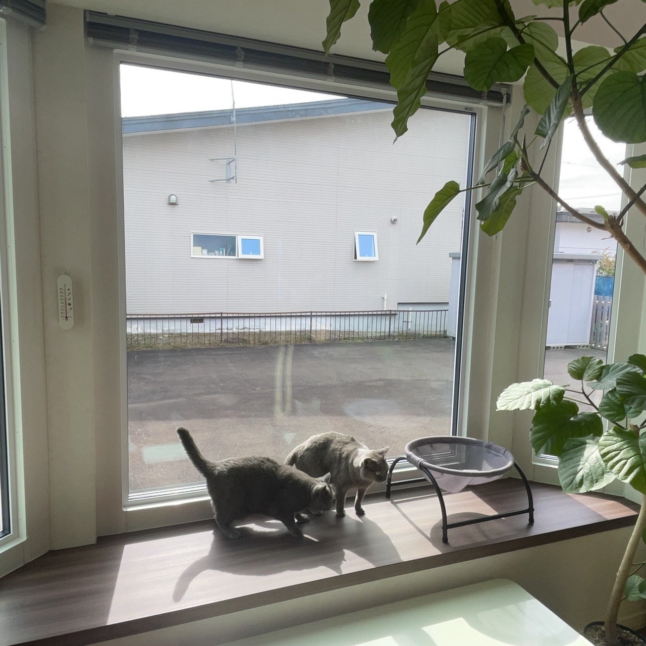 https://saito-1234.com